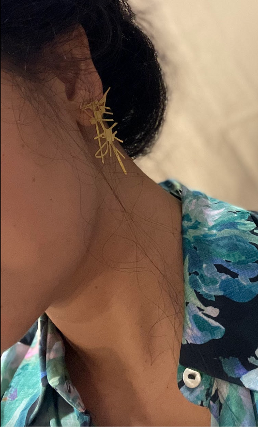 Bidyut Jāla (विद्युत जाल) – Electric Web